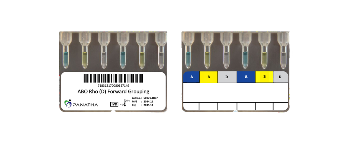PANATHA ABO Rho (D) Forward Grouping